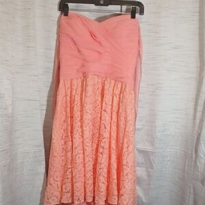 Wtoo Elegant Pink/Peach Lace Women's Dress Sz 12 NWT